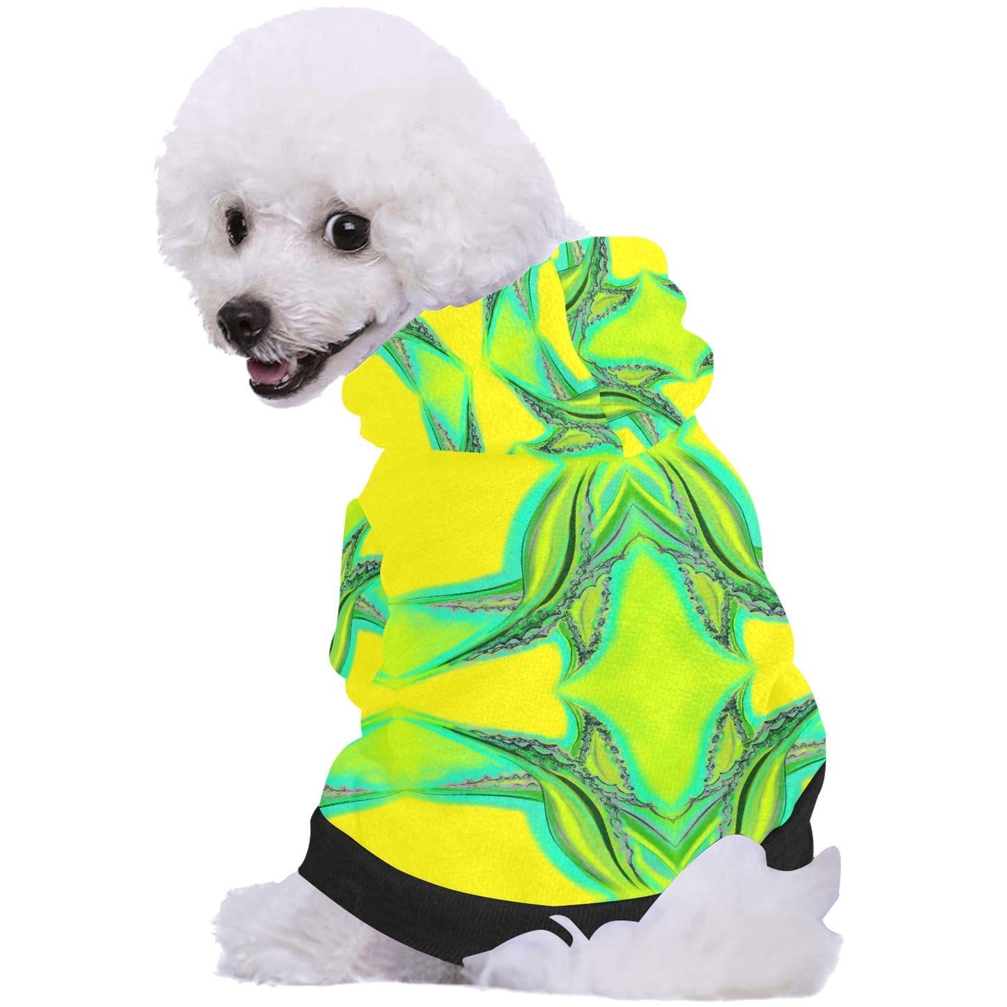 Pet Dog Hoodie